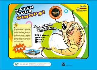 aquarium educational science kit-Hatch your Angel Shrimp