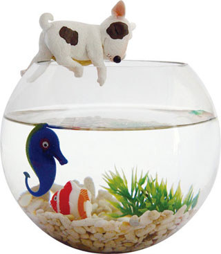 Fish bowl-Just relax-featured aquarium 
