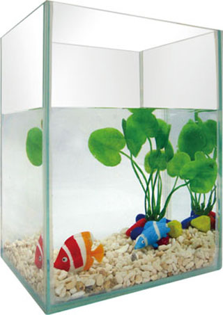 Fish tank-5pc-featured  aquarium