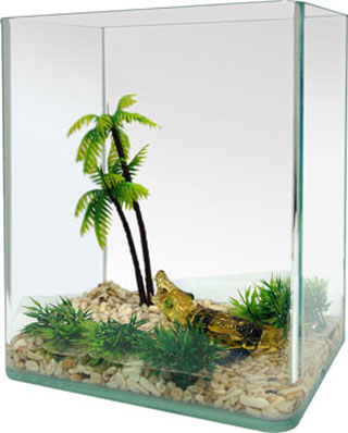 Fish tank-3pc-featured aquarium