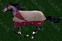 Sell horse blankets