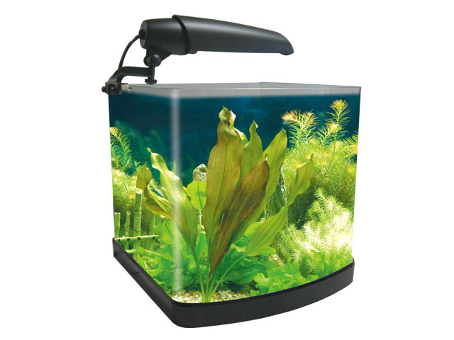 Mini desktop aquarium 