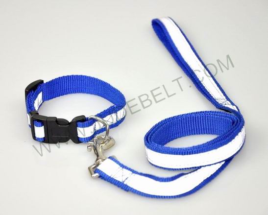 reflective collar and leash