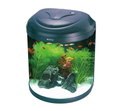 Diamond Aquarium