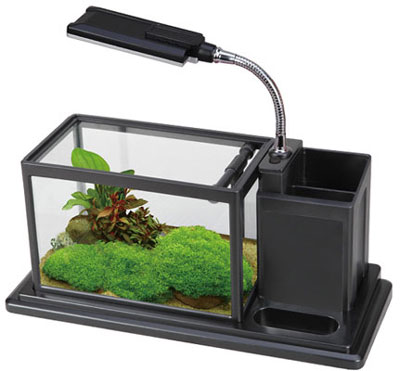 LED Accord Aquarium BG-29A (BLACK)