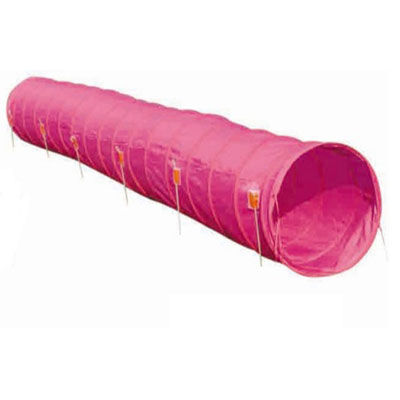 dog tunnel