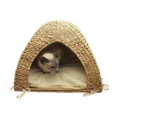 Cat house with white cushion