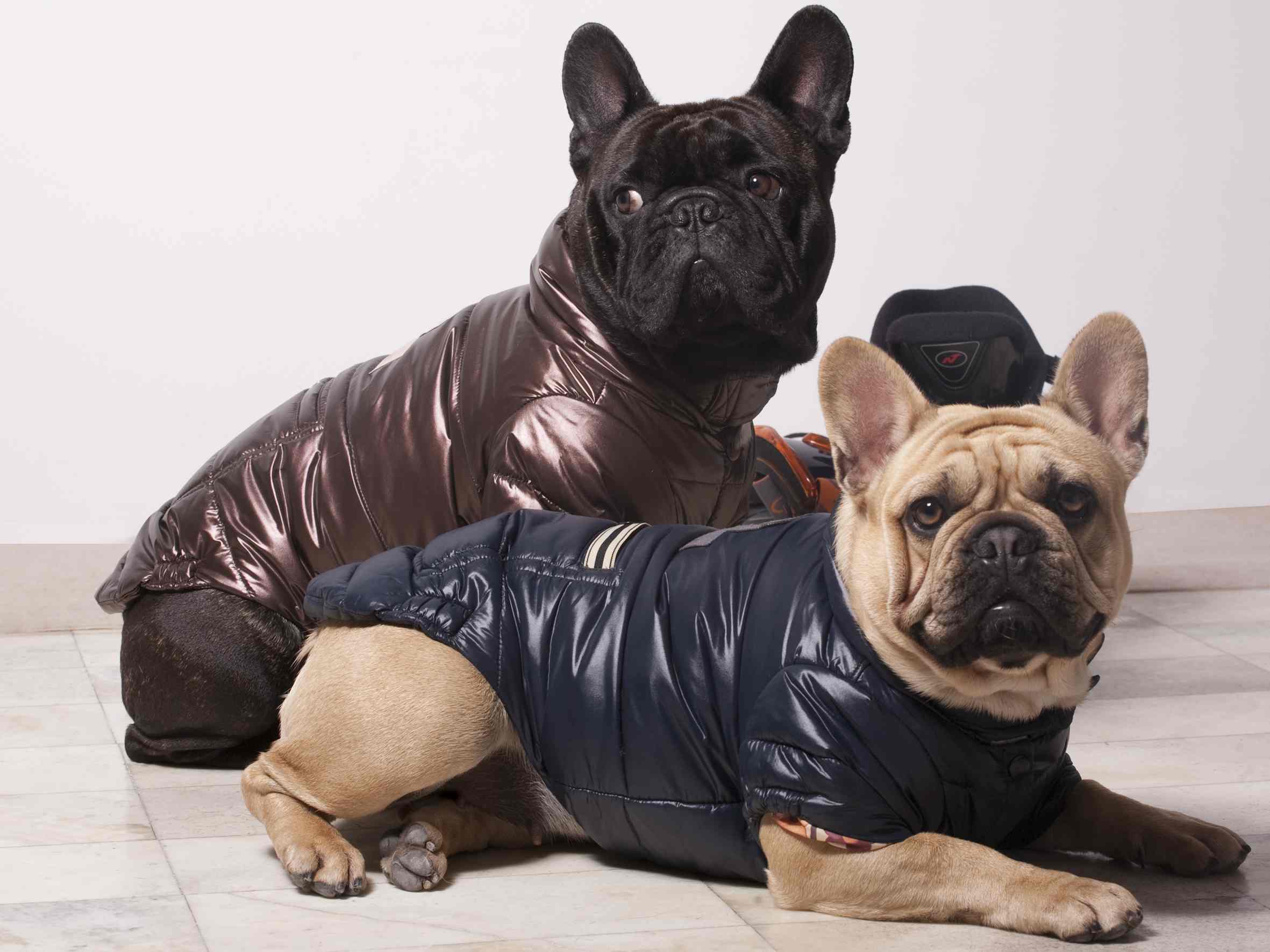 SKY JACKETS