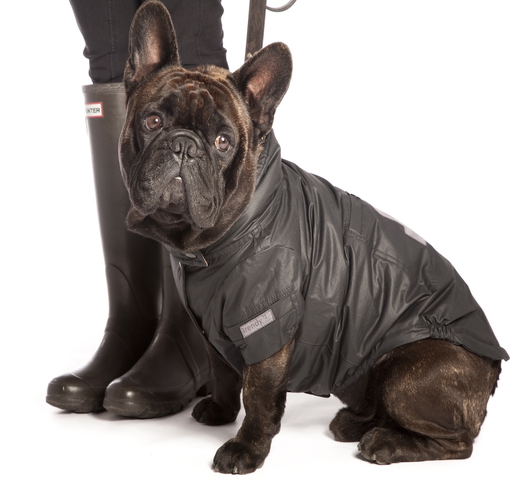 RAINCOAT