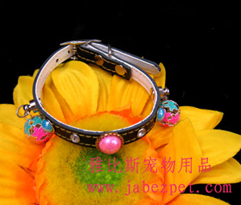 cat collar