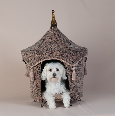 Pet Tent