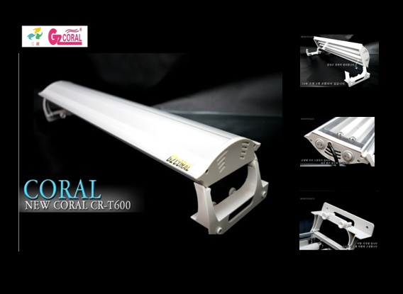 T5 double lamp