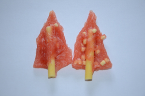 CH052 Dry Chicken in Cheese Stick Dry Dog Treat
