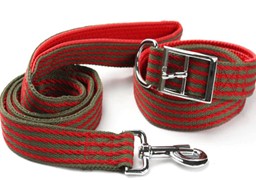 Pet Leads