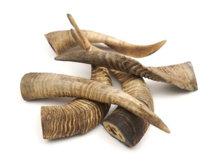 Goat Horns all sizes and packing requirements  OEM Private label 