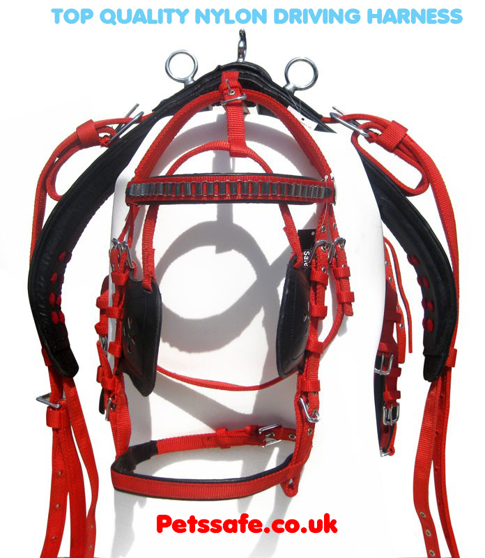 Top Quality Nylon Driving Harness Black/Red Color with Golden Reins