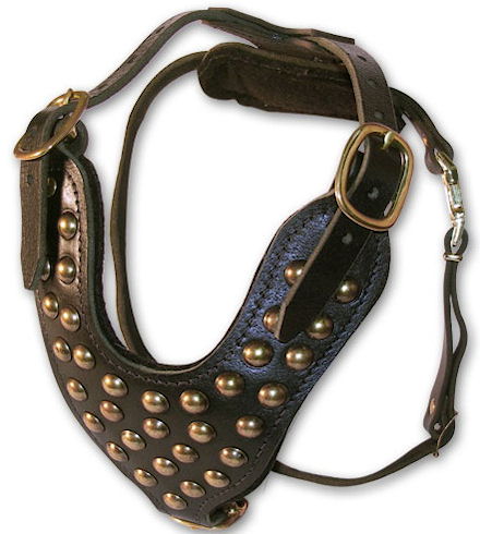 Handmade Leather Dog Collars,Harness,Muzzle,Leashes etc....