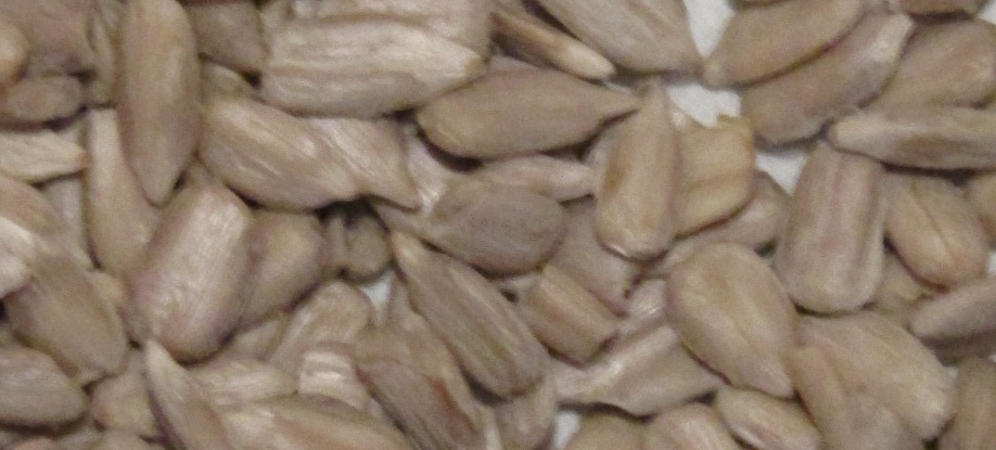 SUNFLOWER KERNELS,HULLED CHIPS AND SUNFLOWER IN SHELL