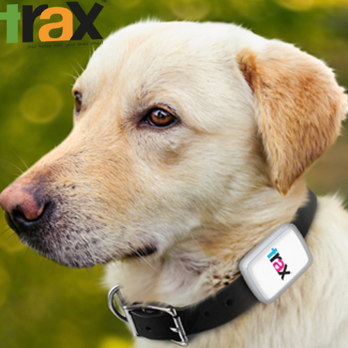 Trax GPS - the worlds smallest & lightest, real-time GPS tracker for pets. 
