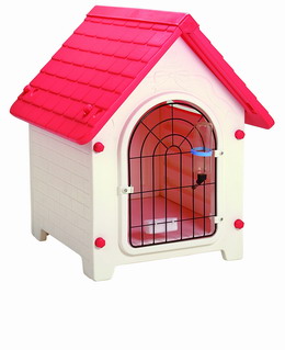 Large lucky house