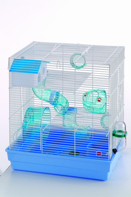 3 floor mouse home