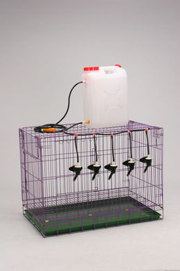Pet auto drinking bottle set 