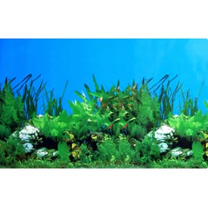 Fish Tank Background on Blue White Rock Background Paper   China Aquarium Background Papers