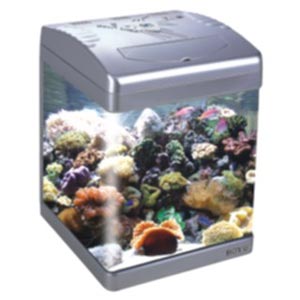 AQUARIUM FISH HOME 