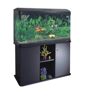 LUXURY AQUARIUM FISH HOME & AQUARIUM FISH HOME 