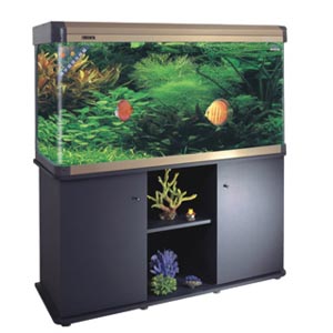 LUXURY AQUARIUM FISH HOME & AQUARIUM FISH HOME 