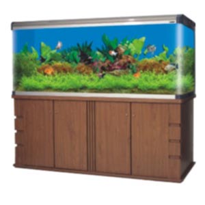 LUXURY AQUARIUM FISH HOME & AQUARIUM FISH HOME