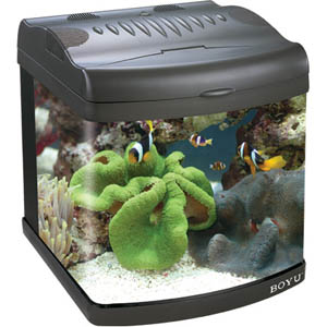 Sell MINI AQUARIUM
