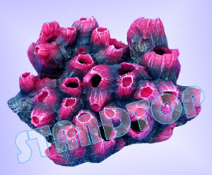Imitation Hard Coral