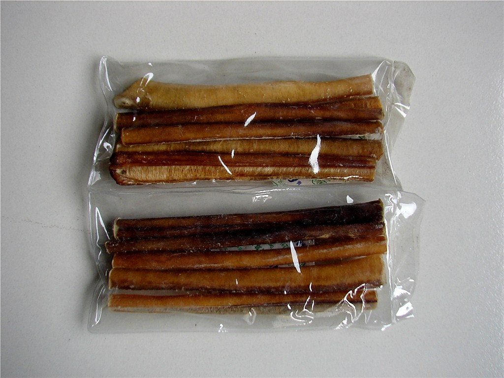 dog chews bully sticks