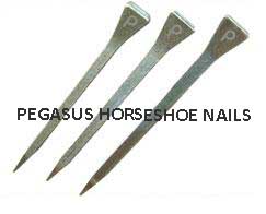 Pegasus Horseshoe nails