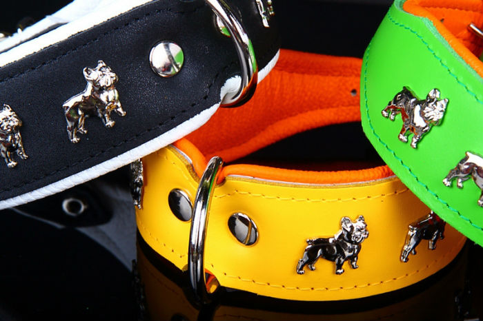dog collar manufacturer