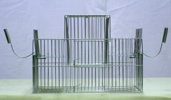 bird trap cage