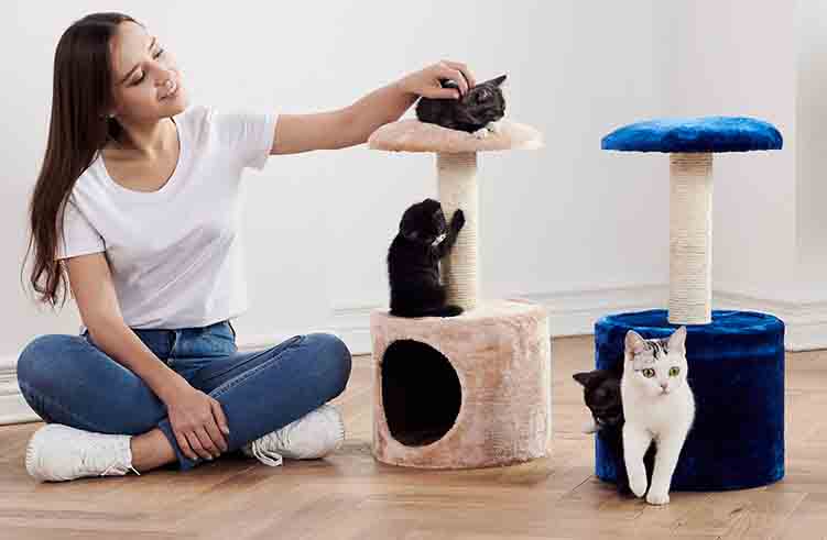 Petsbell small-scale cat tree solid wood sisal cat scracther