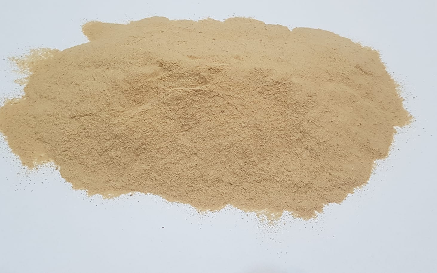 dry brewers yeast 