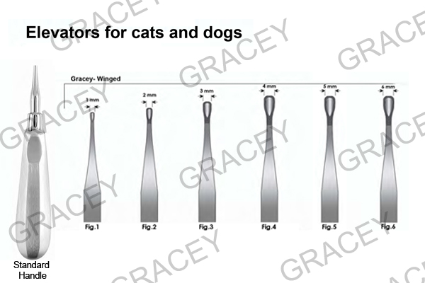 Elevators for Cats and Dogs 