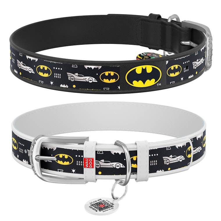 WAUDOG DC Comics (collars and leashes) 
