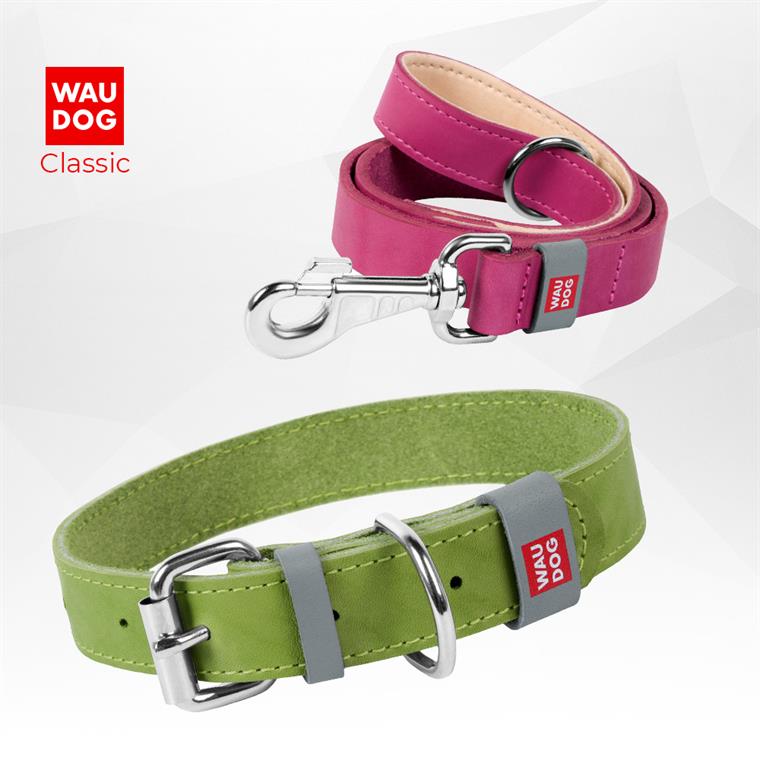 WAUDOG_Classic_from_COLLAR_Company_manufacturer_and_distributor