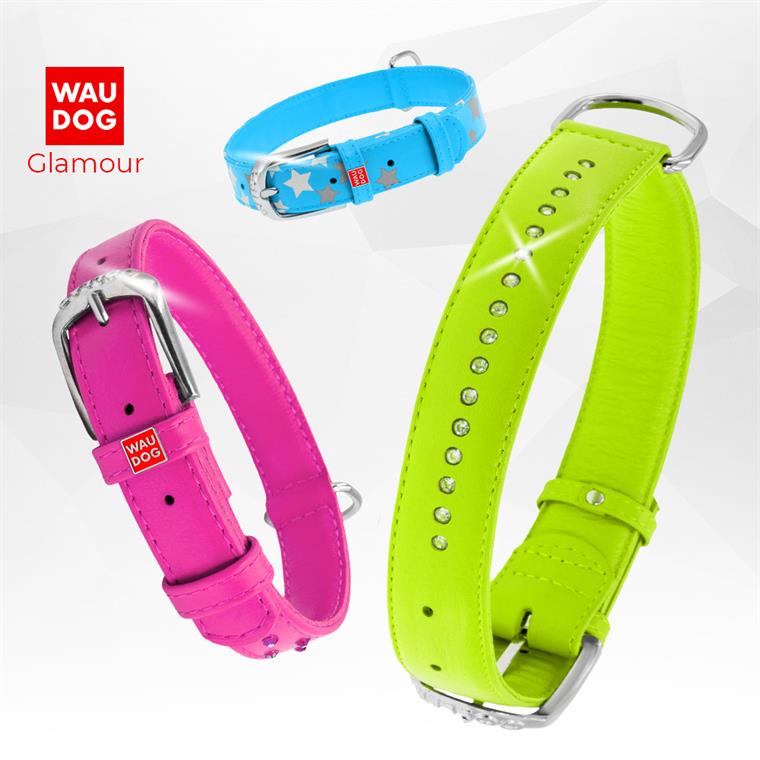 WAUDOG_Glamour_from_COLLAR_Company_manufacturer_and_distributor
