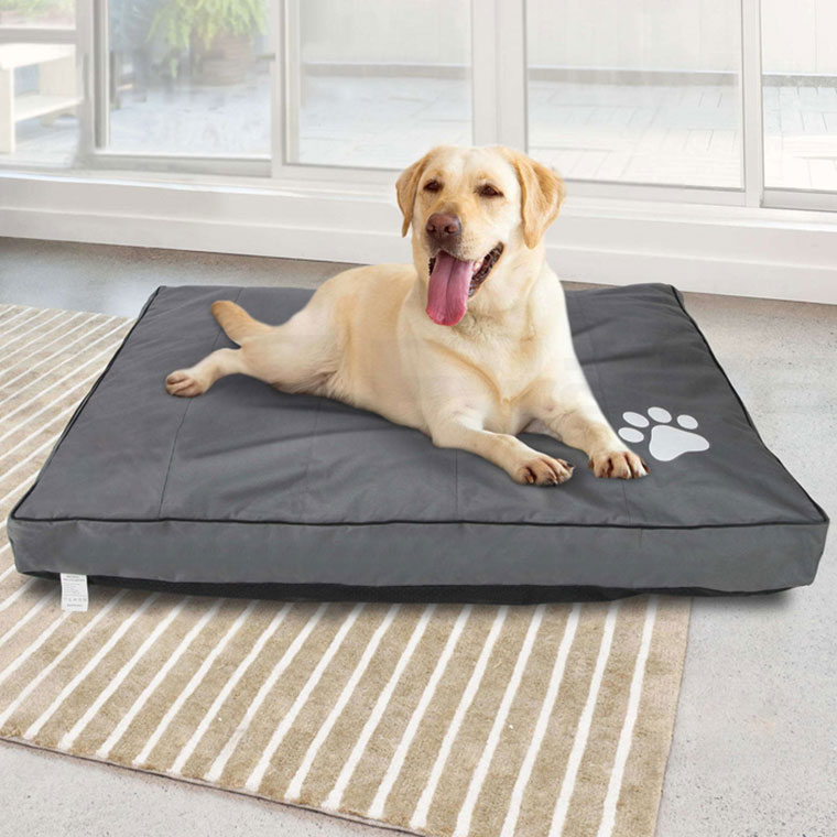 Dog Beds Manufacturers & Suppliers Dog Beds Catalog