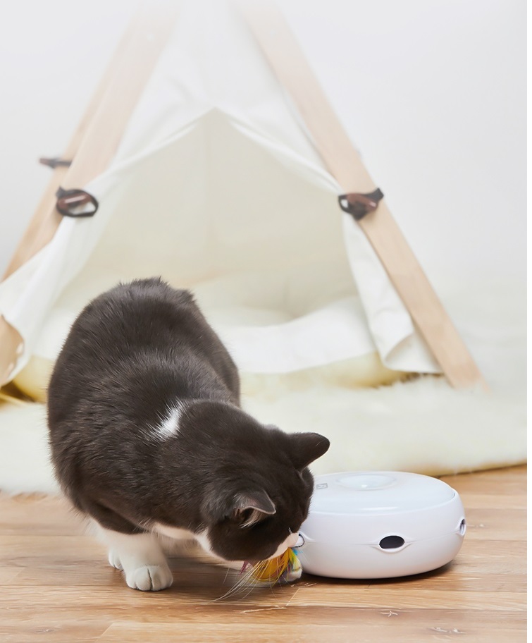 Cat Toys Manufacturers & Suppliers Cat Toys Catalog