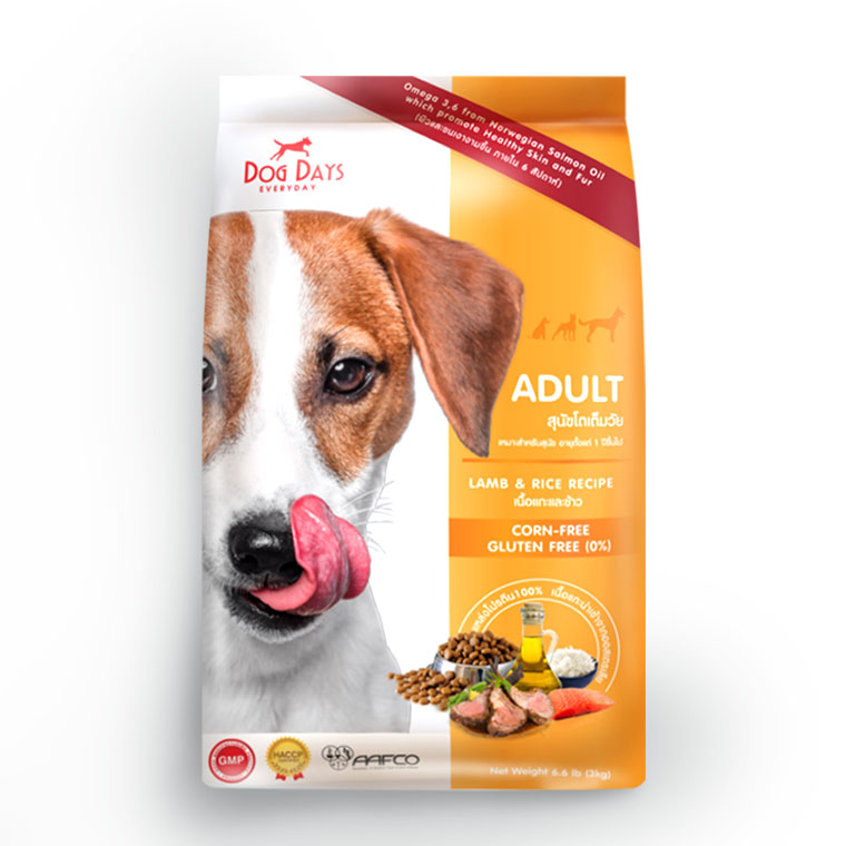 Dog Food News Offer Dog Food