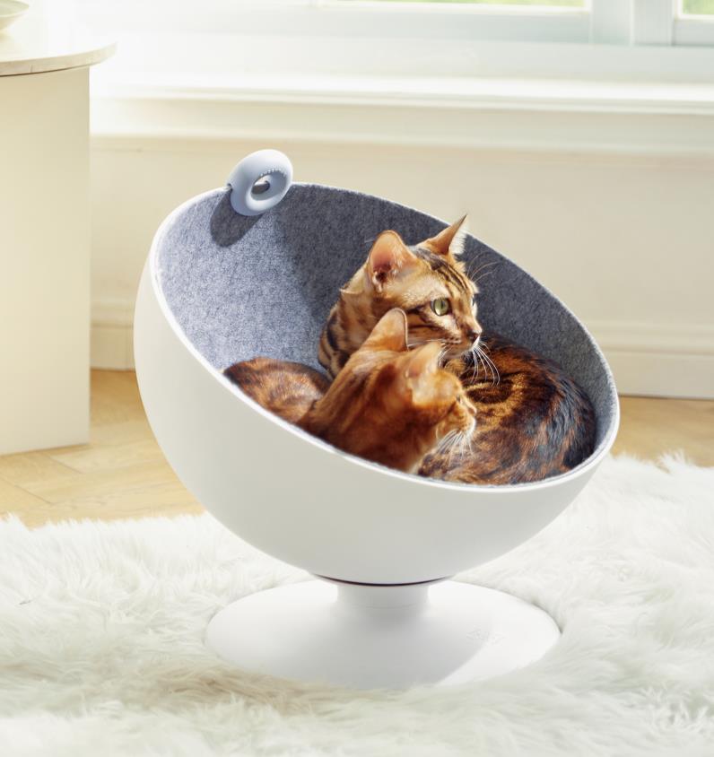 MODERN LUXURY ELEVATED PERSONALISED PED BED CAT BED CAT CHAIR CAT HIDEAWAY