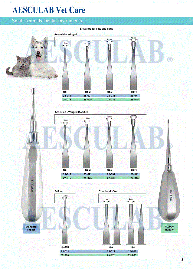 Small Animal Dental Instruments = Aesculab Instruments Co