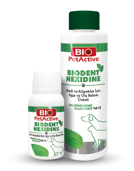 Biodent Hexidine
