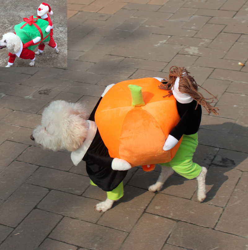 Halloween costume dog clothes 